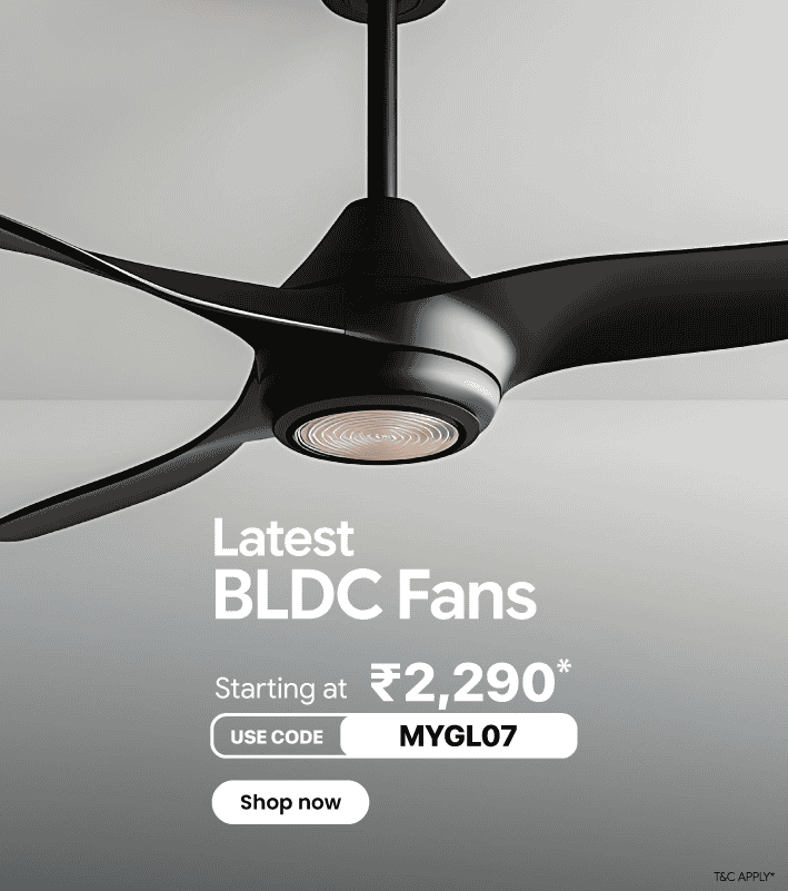 BDLC fans