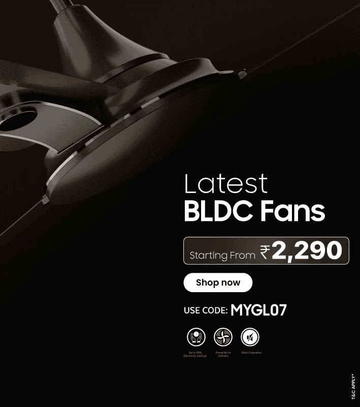 BDLC fans