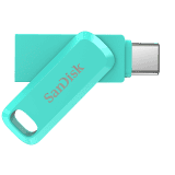 SanDisk Type C Dual Drive Go 256 GB Pen Drive | Green