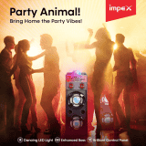 Impex ST 100A Stage Speaker | FM Radio | 100W | Black