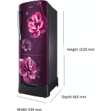 Samsung Direct Cool Single Door Refrigerator | 223 L | 3 Star | Camellia Purple | RR24C2823CR/NL
