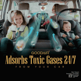 GOODAIR Royal Car Air Purifier | Non Electric | Super Black