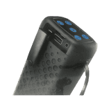 Salpido B101 Bluetooth Party Speaker | 5.6 W  | Black