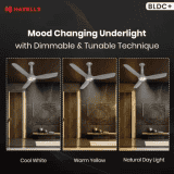 Havells Inox UL BLDC Ceiling Fan | 1200 mm | 5 Star | Metallic Grey