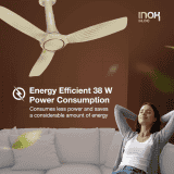 Havells  Inox BLDC Motor Ceiling Fan | 1200 mm | 5 Star | Gold Mist Cola