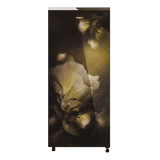 Whirlpool Icemagic Pro Single Door Refrigerator | 192L | 5 Star | Intellisense Inverter Technology | Gold Dust | 73273 215 IMPRO GD PRM 5S INV