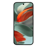 Google Pixel 9 Pro | 16 GB | 256 GB | Hazel