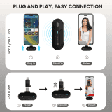 Portronics Vlogmate 2 Earbuds | Dual Microphone | Black
