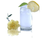 Lucky Glass Classic Tumbler Glasses | LG-30