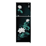 LG Double Door Convertible Refrigerator | Smart Inverter Compressor | 246L | 3 Star | Emerald Lotus | GL-S262SELX DELZEBN