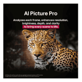 LG evo AI OLED smart TV | 164cm ( 65 inch ) | OLED65C56LA