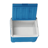 Asian Thermowagon Insulated Ice Cooler | 5 litres | Ice Cube Storage | Multicolor