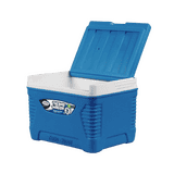 Asian Thermowagon Insulated Ice Cooler | 5 litres | Ice Cube Storage | Multicolor