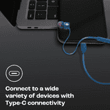 JBL Tune 310 Wired in Ear Headphones with Microphone | USB Type C | Blue | JBLT310CBLU