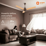 Orient Ecotech Prime CX BLDC Ceiling Fan | 1200MM | Oak Wood