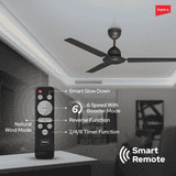 Impex E-Saver BLDC Ceiling Fan with Remote Contro | 1200 mm | 5 star Rated Energy Efficient Ceiling Fan | Smoke Brown