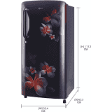 LG 190 L Direct Cool Single Door 3 Star Refrigerator GL-B201ABPD | Blue Plumeria