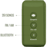 SAREGAMA Carvaan Mini Hindi  Bluetooth Speaker | Green