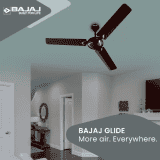 BAJAJ Glide 3 Blade Ceiling Fan | 1200 mm | Classy Red Wine