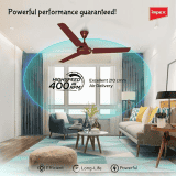 Impex Whizstar Ceiling Fan | 1200 mm | 1 Star | 3 Blade | Cherry Brown