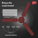 Impex Whizstar Ceiling Fan | 1200 mm | 1 Star | 3 Blade | Cherry Brown