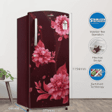 LLYOD Havells Direct Cool Standard Single Door Refrigerator | GLDC212SBWT2PB | 200 L/2 Star | Begonia Wine