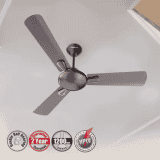 HAVELLS Festiva 1 star | 1200 mm | Espresso Brown