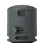 Sony Portable Bluetooth Speaker | 2.5 W | Black | SRS XB100