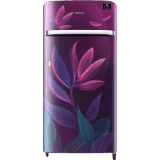 SAMSUNG 198 L Direct Cool Single Door 5 Star Refrigerator-RR21T2G2W9R/HL | Paradise Purple
