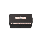 Aiwa MI-X 450 Pro ENIGMA 120 Watts Portable Bluetooth Speaker | Green Amplifier Technology | Rose Gold Black