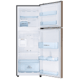 Samsung 244 L 2 Star Inverter Frost-Free Double Door Refrigerator | GOLDEN