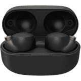 Sony True Wireless Stereo Bluetooth Headset | Black | WF-1000XM4