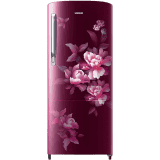 Samsung Direct-Cool Single Door Refrigerator | RR20C1724HN/HL |183 L/4 Star | Himalaya poppy Red