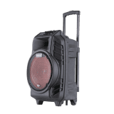 Nestron Trolley Speaker | RXE RC112