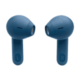 JBL Tune Flex in Ear Wireless TWS Earbuds with Mic Bluetooth 5.2 | Blue
