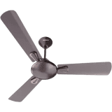 HAVELLS Festiva 1 star | 1200 mm | Espresso Brown