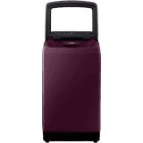SAMSUNG 6.5 kg Fully Automatic Top Load WA65N4261FF/TL | Purple