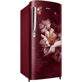 Samsung Direct Cool Single Door Refrigerator | 183 L | 3Star | Digital Inverter | Midnight Blossom Red | RR20D1723RZ/HL