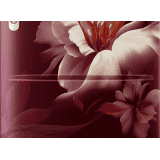 Samsung Direct Cool Single Door Refrigerator | 183 L | 3Star | Digital Inverter | Midnight Blossom Red | RR20D1723RZ/HL