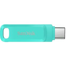 SanDisk Type C Dual Drive Go 256 GB Pen Drive | Green