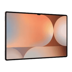 Samsung Galaxy Tab S10 Ultra | 12 GB | 256 GB | Platinum Silver | X920