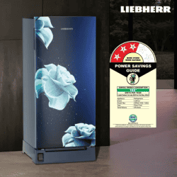 Liebherr Direct Cool Single Door Refrigerator | 191 L | 3 Star | Blue Divine | DFPldC 1921