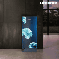 Liebherr Direct Cool Single Door Refrigerator | 191 L | 3 Star | Blue Divine | DFPldC 1921