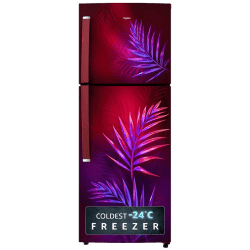 Whirlpool Frost Free Double Door | 235 L | 2 Star Refrigerator | Wine Palm | NEO 278LH PRM