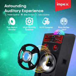 Impex ST 100A Stage Speaker | FM Radio | 100W | Black