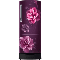 Samsung Direct Cool Single Door Refrigerator | 223 L | 3 Star | Camellia Purple | RR24C2823CR/NL