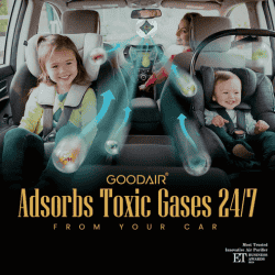GOODAIR Royal Car Air Purifier | Non Electric | Forest Green