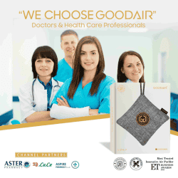 Goodair Royal Car Air Purifier | Non-Electric | Elegant Silver