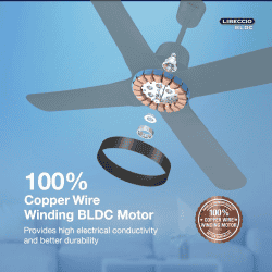 Havells Libeccio Bldc Motor Ceiling Fan | 1200mm | 5 Stars | Slate