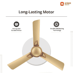 Orient Electric Kiara Shine High Speed Ceiling Fan | 1200 mm | 3 Blade | Chocolate Gold